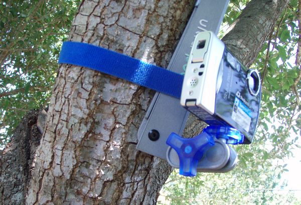 ultrapod attached to a tree