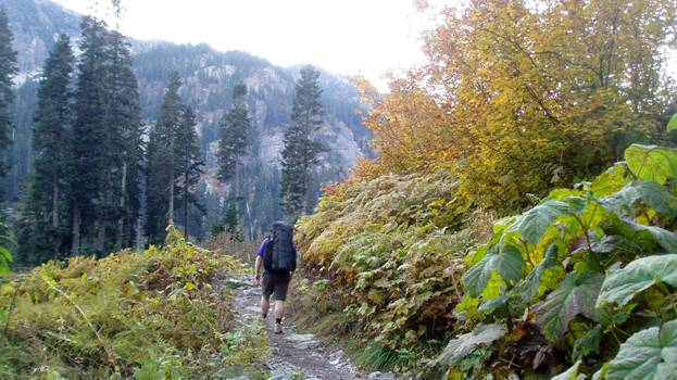Hiking on the trail to Snow Lake in the Alpine Lakes Wilderness