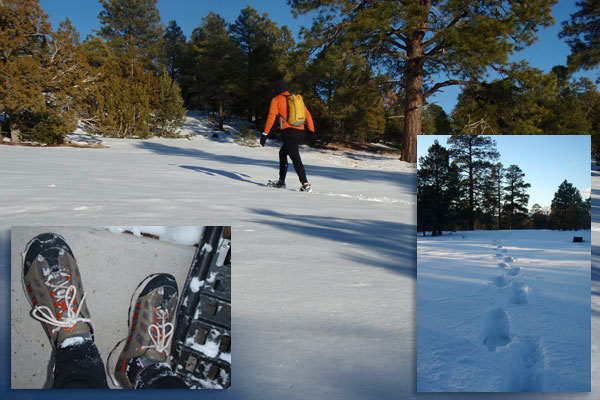 Snowshoeing on Campbell Mesa
