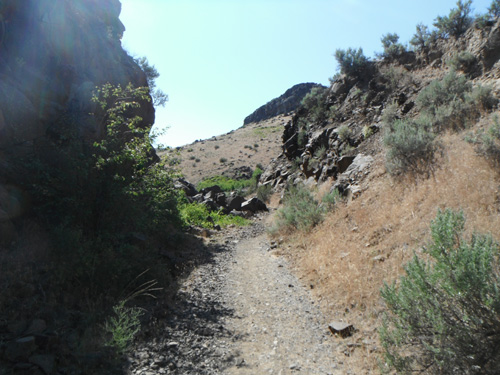 Canyon Hike