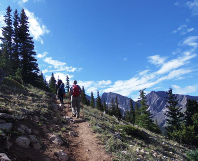 Collegiate Peaks Trail