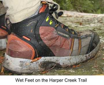 Wet Feet on the Harper Creek Trail