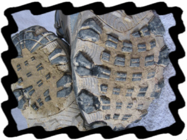 Muddy Soles of Patagonia Vagabond Boots