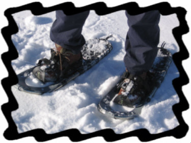 Teva Ossagons in Snowshoes