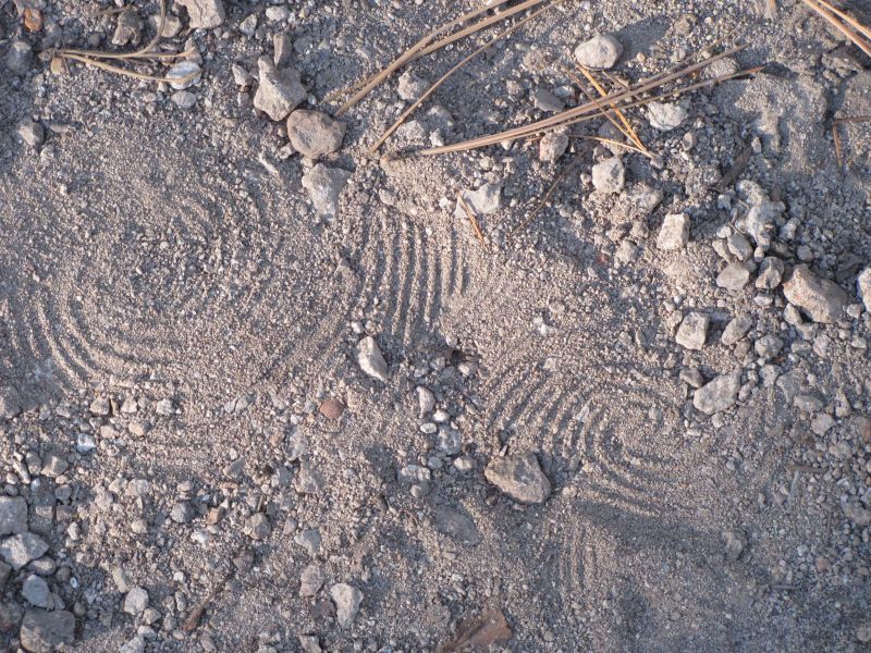 Kigo Drive footprint in the sand