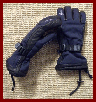Gordini Vector Gloves