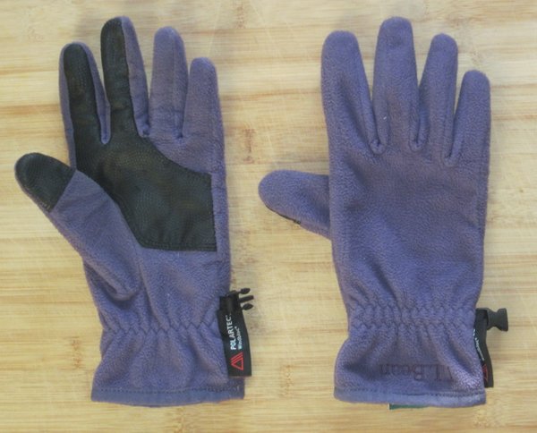 Wind Challenger Gloves
