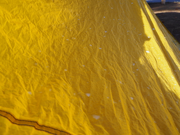 Repel on the tent