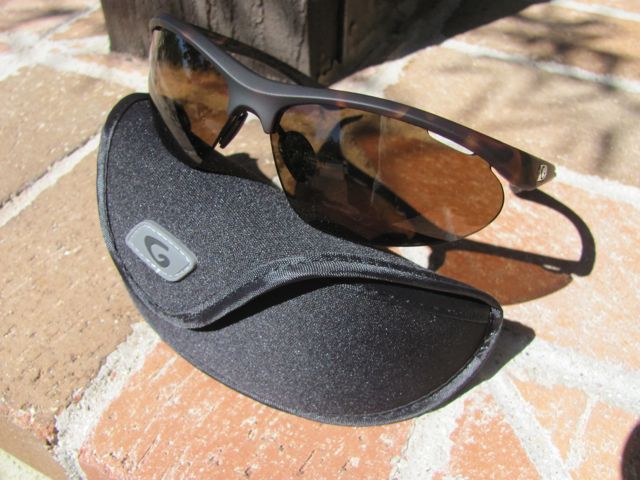 Sunglasses and case