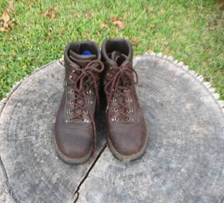 Alico Summit backpacking boots