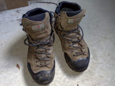 Boots at time of Field Review