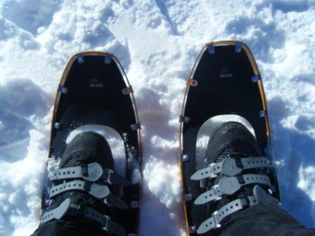 In Snowshoes