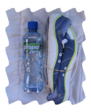 Water Bottle Comparison