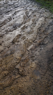 Muddy Trail