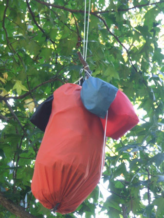 Bear bag hanging from branch