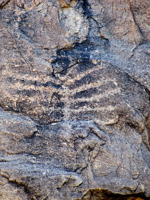 Petroglyph in King Canyon