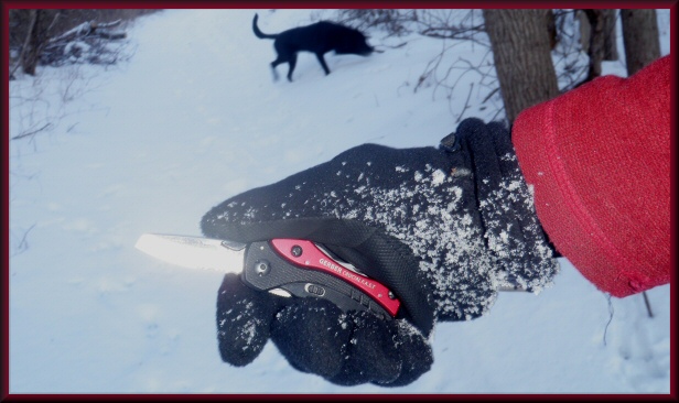 Gerber Crucial blade in the snow
