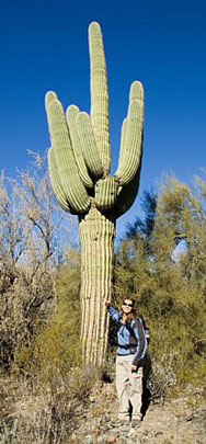 Me and the Saguaro