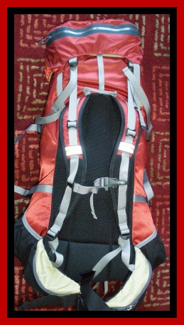 Pack with backpanel and harness