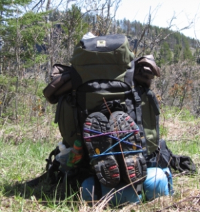 The Boundary Pack in the Boundary Waters