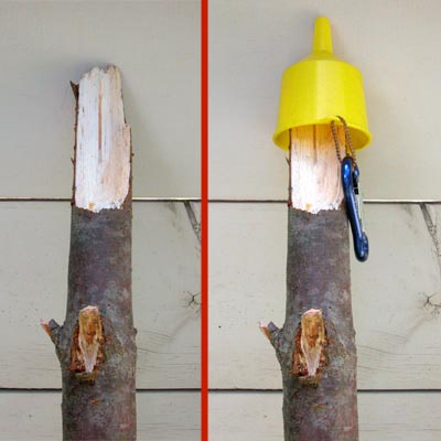 Rigging a Tree Branch to Mimic a Hiking Pole Tip