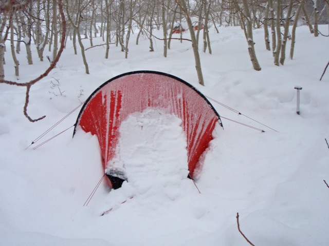 Snow gathering on tent