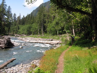 The Quinalt River