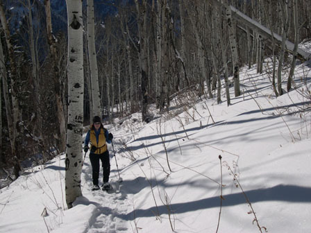 Hiking with the snowshoes