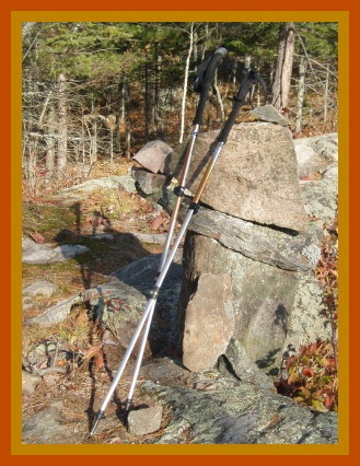 Spire Poles on rock outcroppings on the Harlow Lake Trail